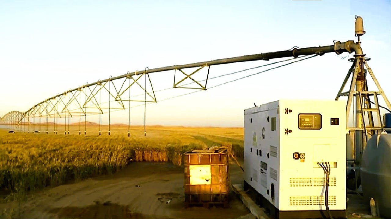 تعرفو على الإمكانيات الهائلة لولاية إليزي في مجال الزراعات الاستراتيجية NEW FARMS IN ILLIZI