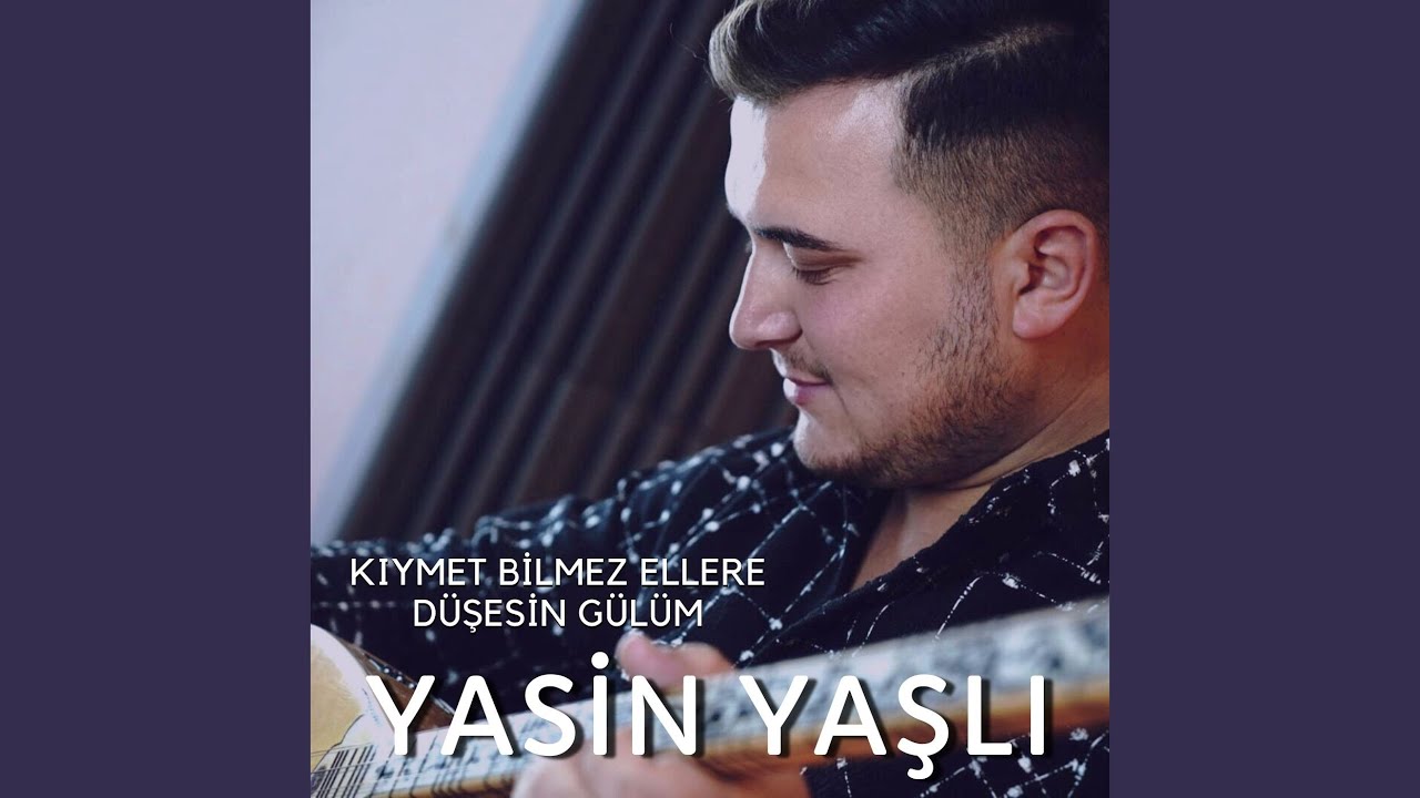 Yiğidin Bindiği Arap Atıdır