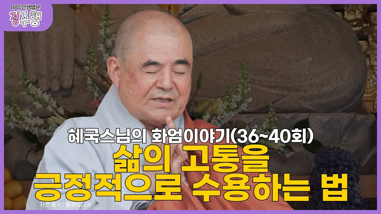 [#정주행] 눈과 귀로 들어오는 정보 어떻게 정리하고 받아들일 것인가｜혜국스님의 인생법문 몰아보기(36~40회) #혜국스님