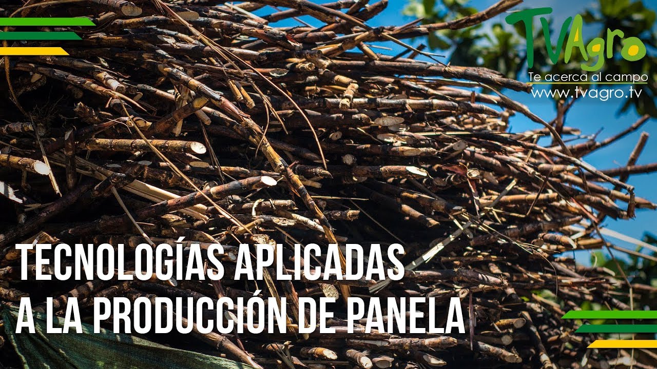 Tecnologías Aplicadas a la Producción de Panela - TvAgro por Juan Gonzalo Angel