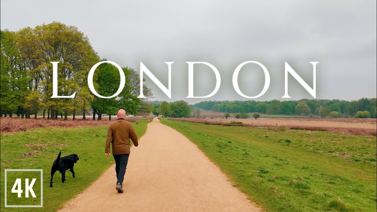 London Walk Through Beautiful Richmond Park from Wimbledon | Nature 4K