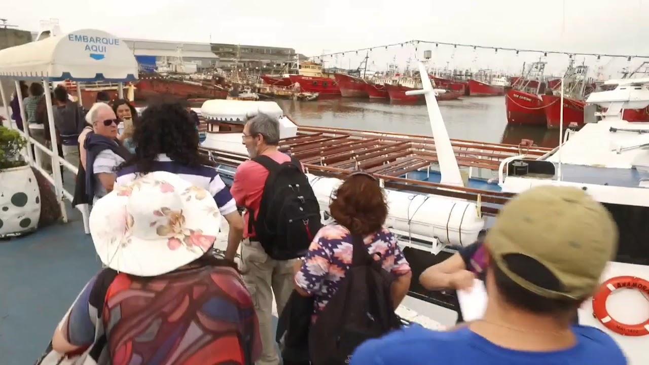 Anamora Mar del plata