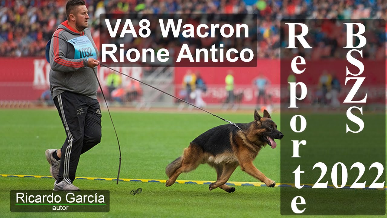 Wacron del Rione Antico