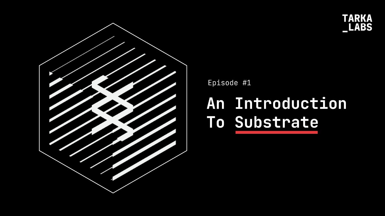 Substrate Episode 1 | An Introduction To Substrate | Tarka Labs