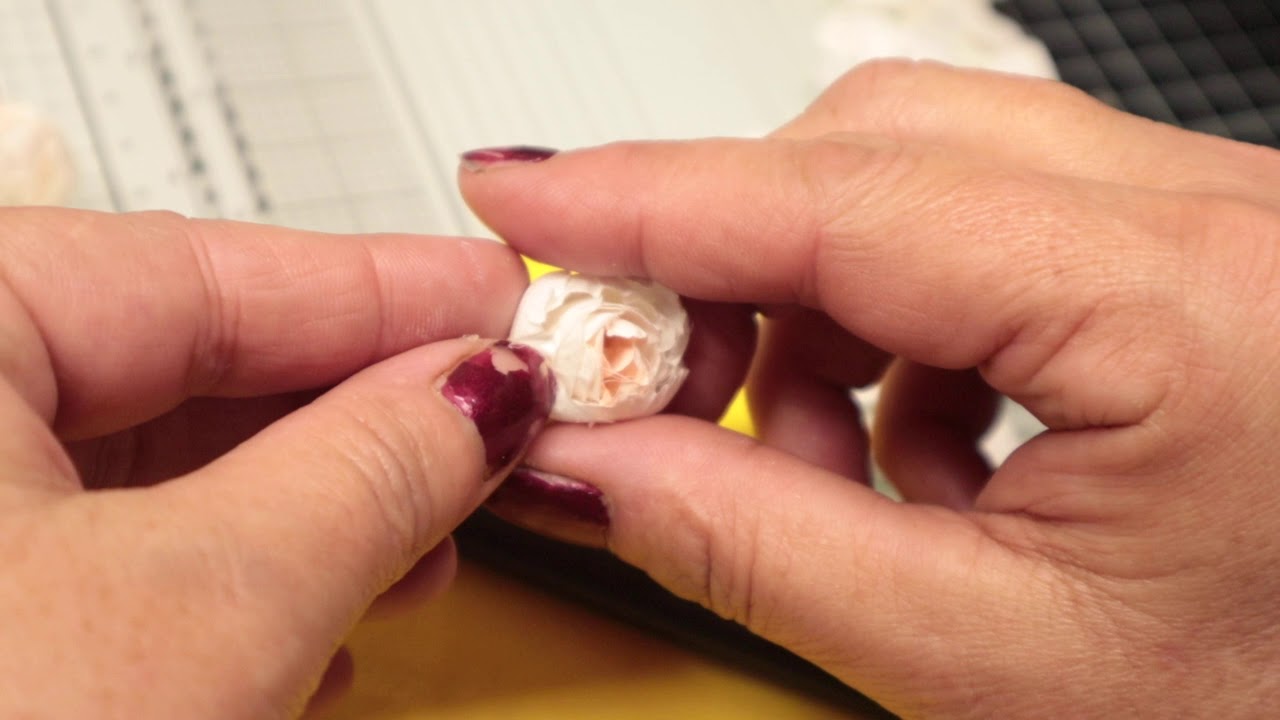 tuto rose en papier filtre à café