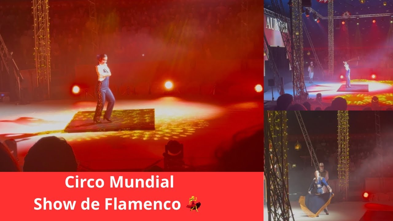 Circo 🎪 Mundial Madeira 2025 Show de Baile Flamenco 💃 