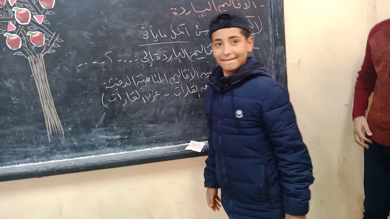 استراتيجية الشجرة المثمرة أ/ ياسر رشاد- دراسات اجتماعية- مدرسة شيبة الإعدادبة بنين.
