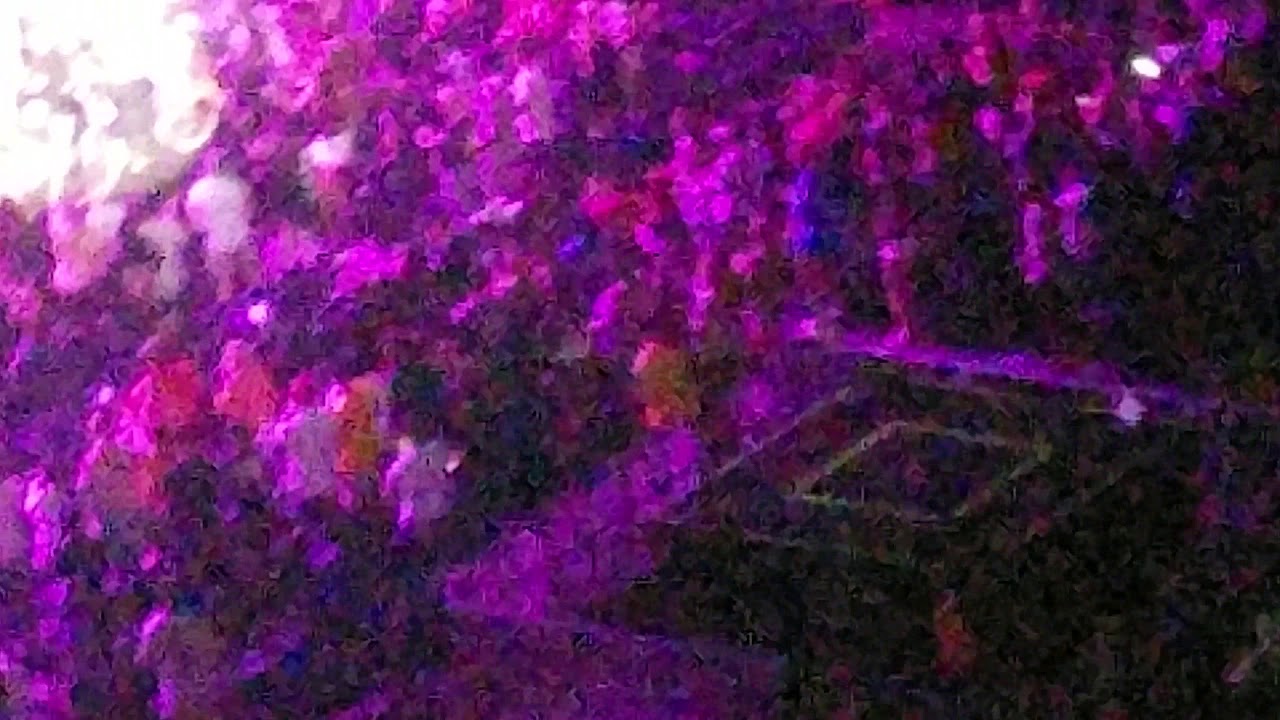 Beyond All That fuck Shit,💨