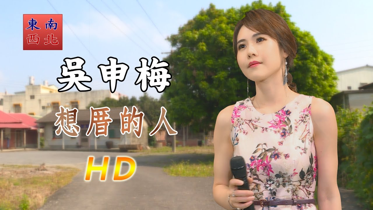 台語歌曲 吳申梅 演唱 想厝的人