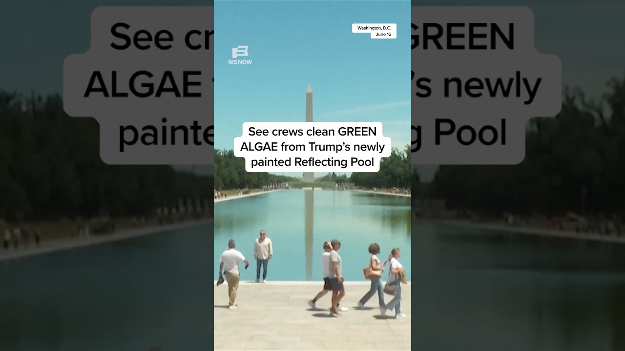 See crews clean GREEN ALGAE from Trump's newly painted Reflecting Pool