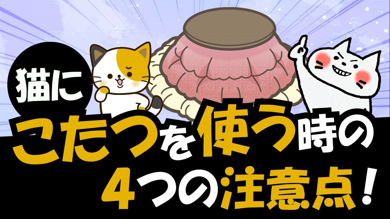猫がこたつが好きな理由・また人間用こたつにはある危険性も！その理由を4つ解説