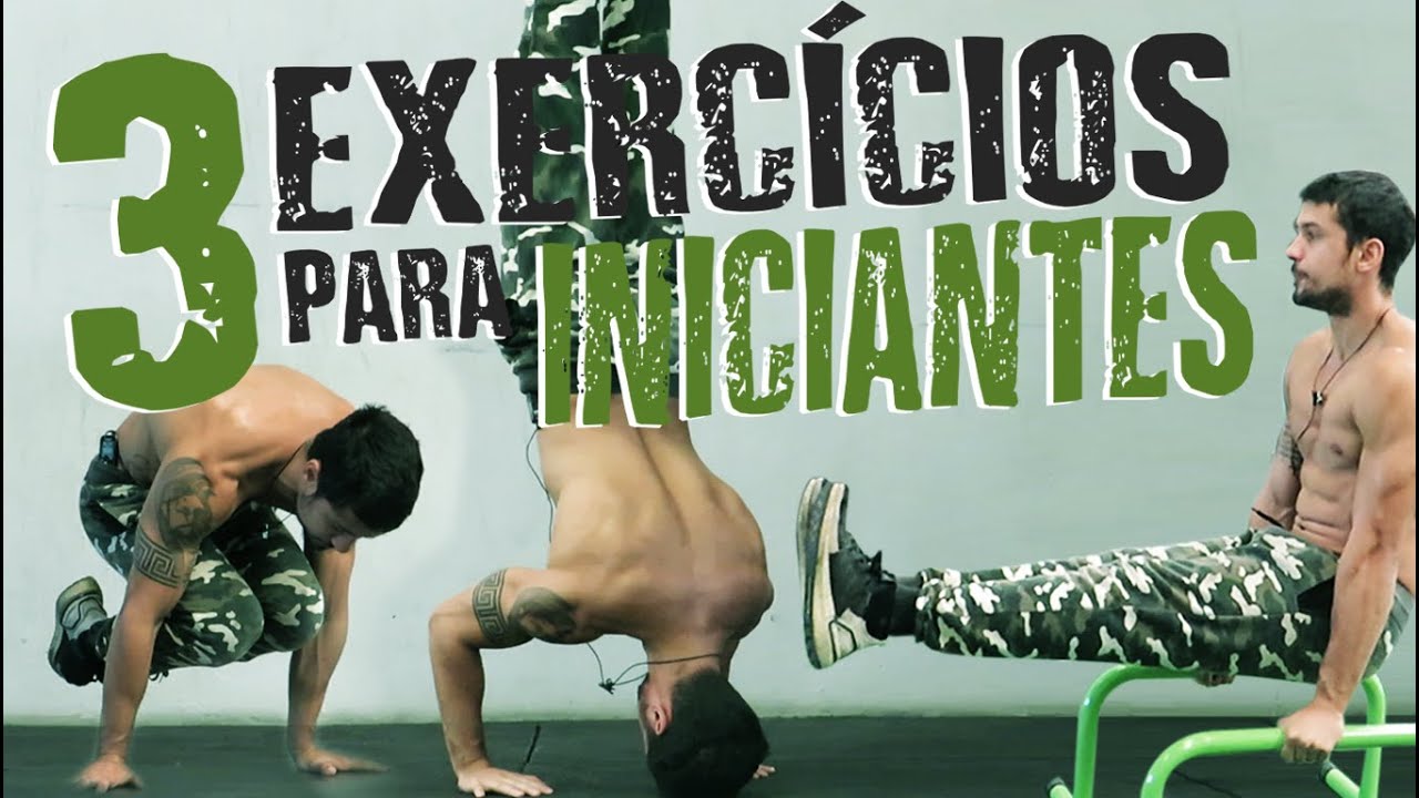 03 EXERCÍCIOS que todo 