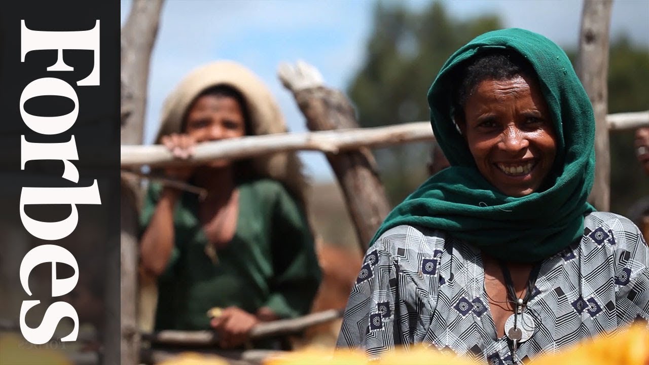 Charity: Water Founder Scott Harrison On Building A Digital-First Charity  | Forbes