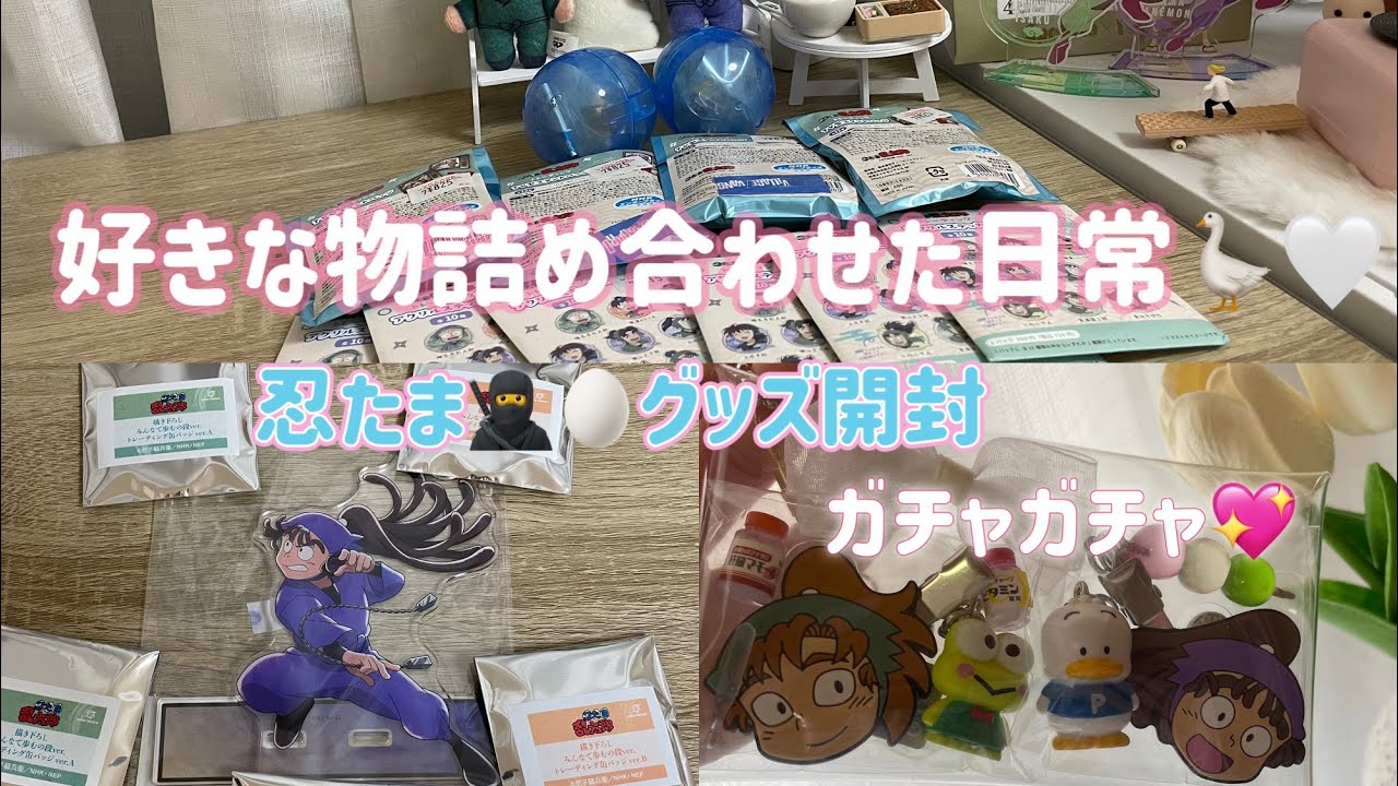 《𝑽‌𝑳‌𝑶‌𝑮》忙しくても好きな事は絶対するオタクの日常🪿🤍／忍たまグッズ開封🥷🥚／ガチャガチャ💖／オタ活🩰