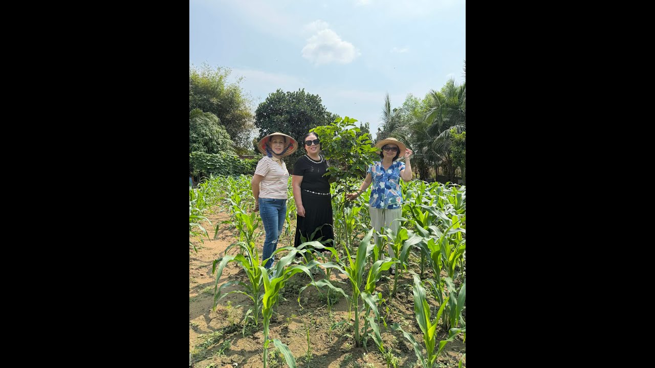 THU HƯƠNG  06.02.2026