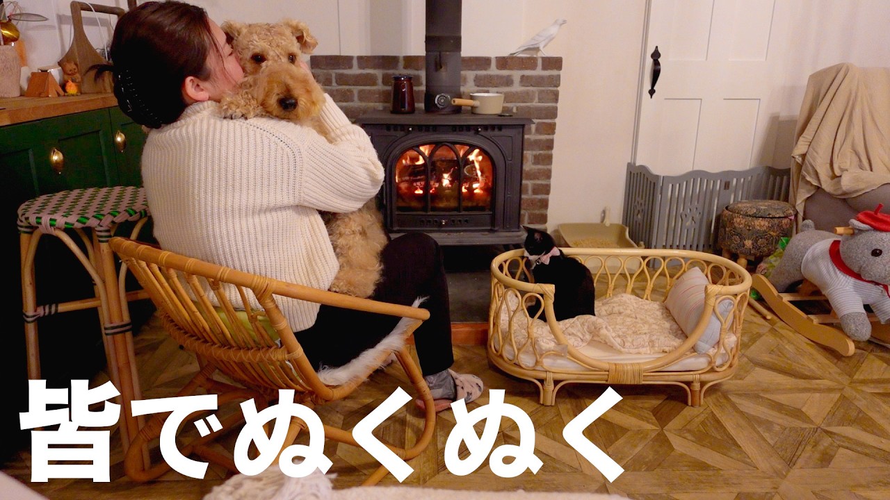 寒い冬はラタンチェアを買って薪ストーブ前で犬猫達と過ごすよ［森の中でひとりと犬猫暮らし］