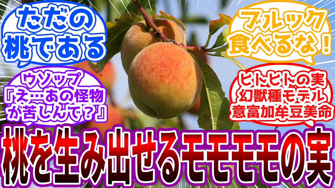「ウソップくん、あのデカブツの口に入るようにコレ(桃)ブッパしてくれ」概念系の敵に対するジョーカー”モモモモの実の能力者”に対する読者の反応集【ワンピース】