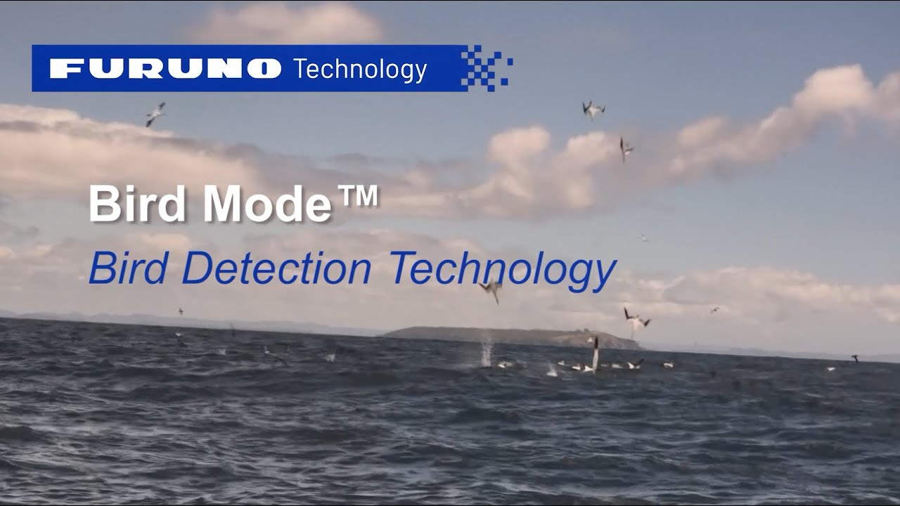 Mode Oiseau | Technologie Radar Furuno