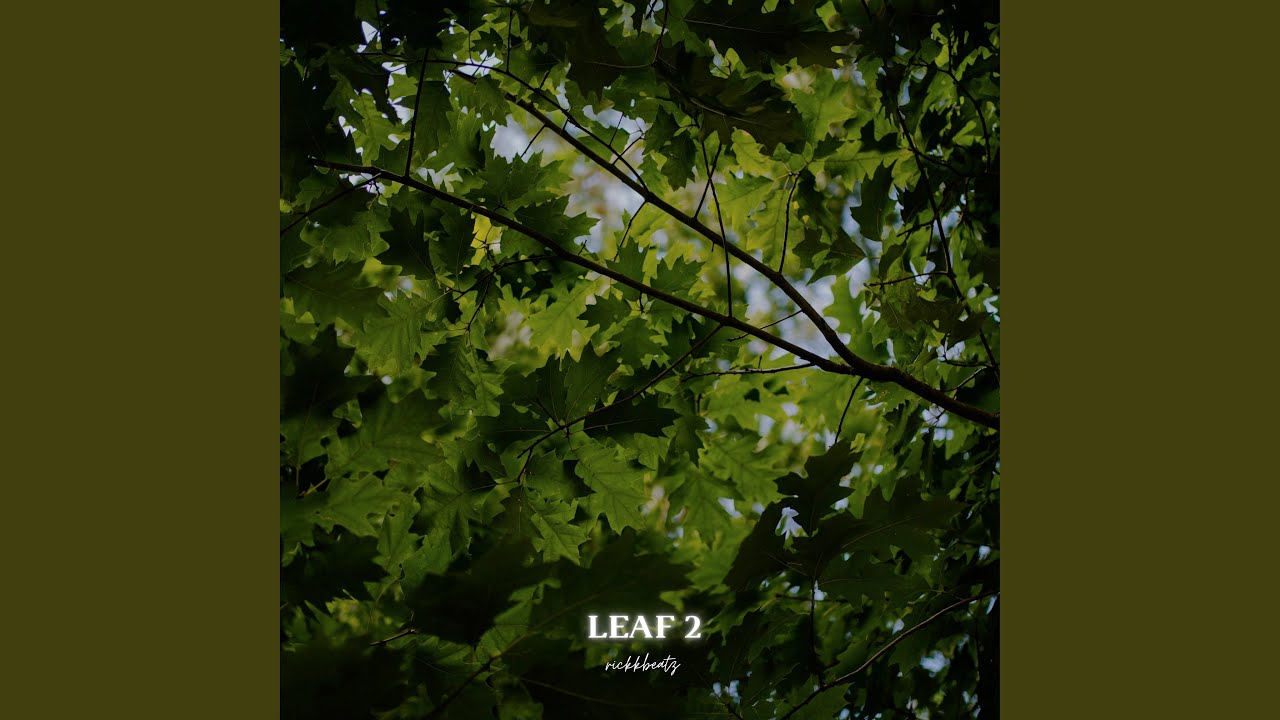 Leaf 2