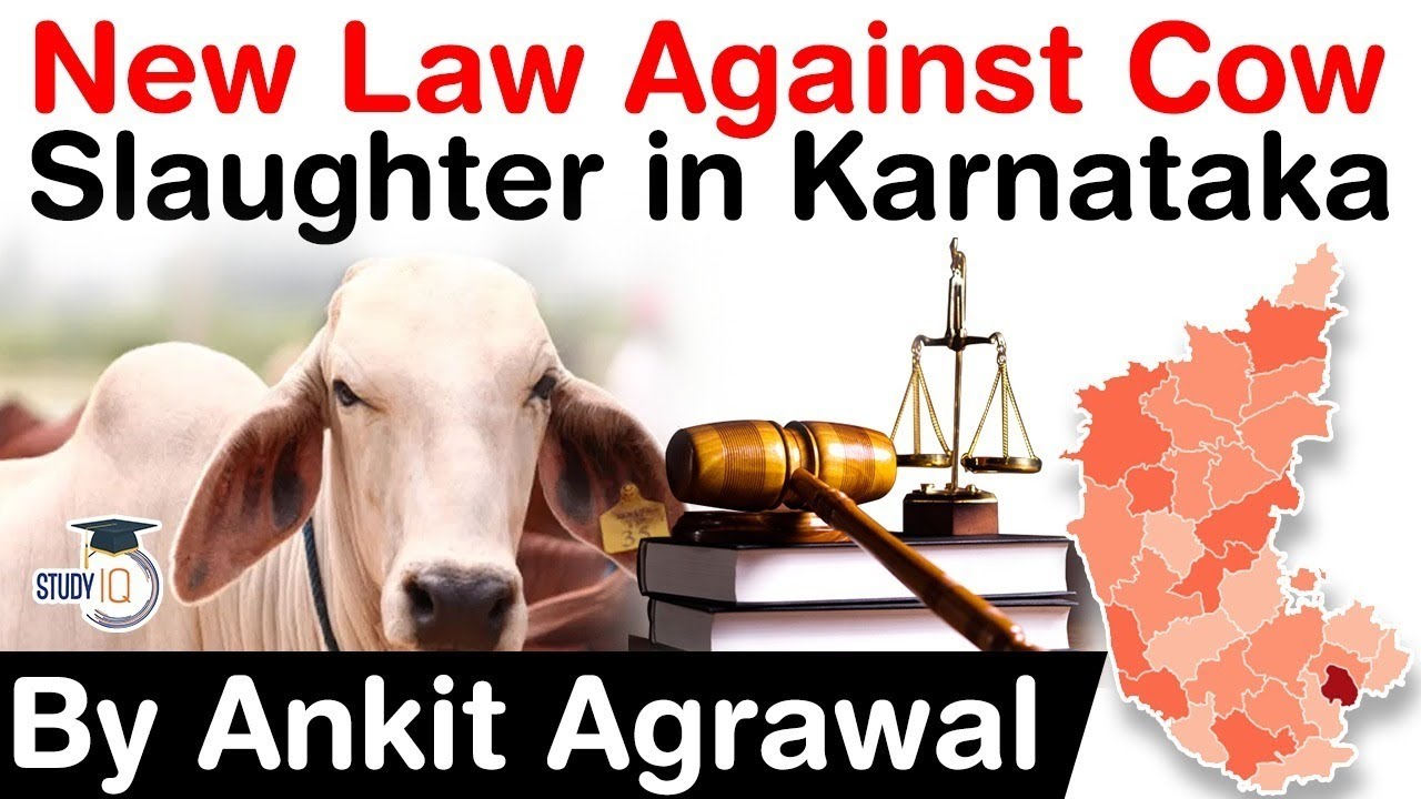 Anti Cow Slaughter bill of Karnataka - What is the definition of beef and cattle in the new bill?