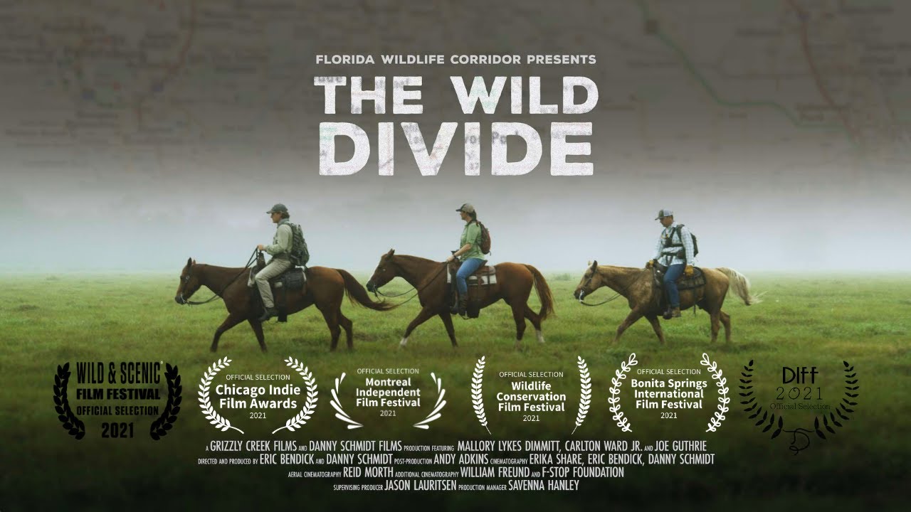 The Wild Divide