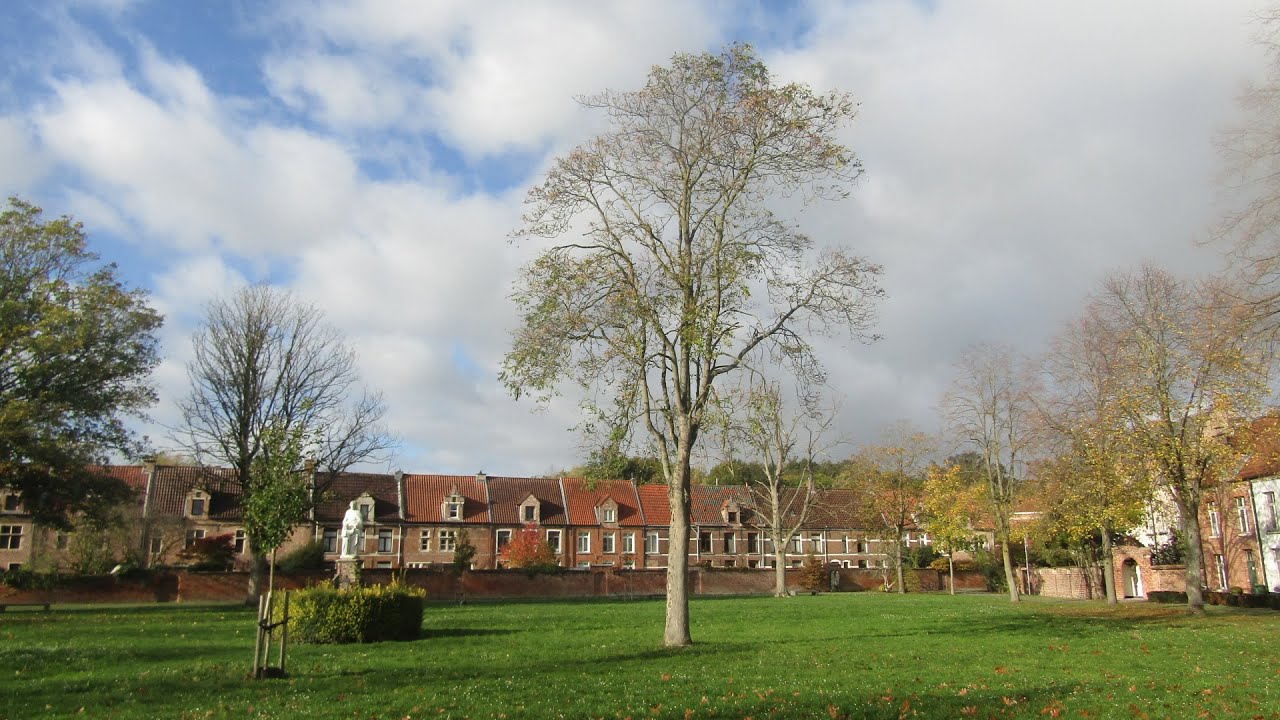 Bezinning - Beleef de stilte van het Sint-Alexiusbegijnhof van Dendermonde