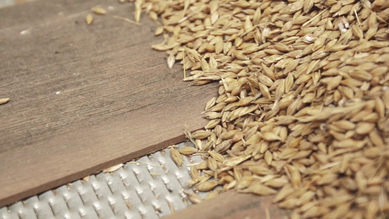 Sukup Europe / Dancorn on floor drying, Product video - English speak - English version