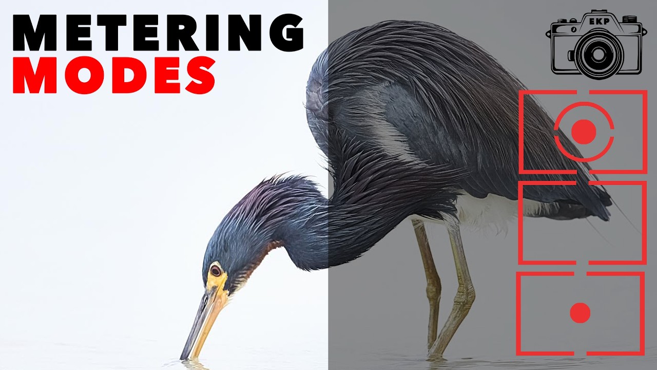 Perfect Exposure: The One Metering Mode Hack