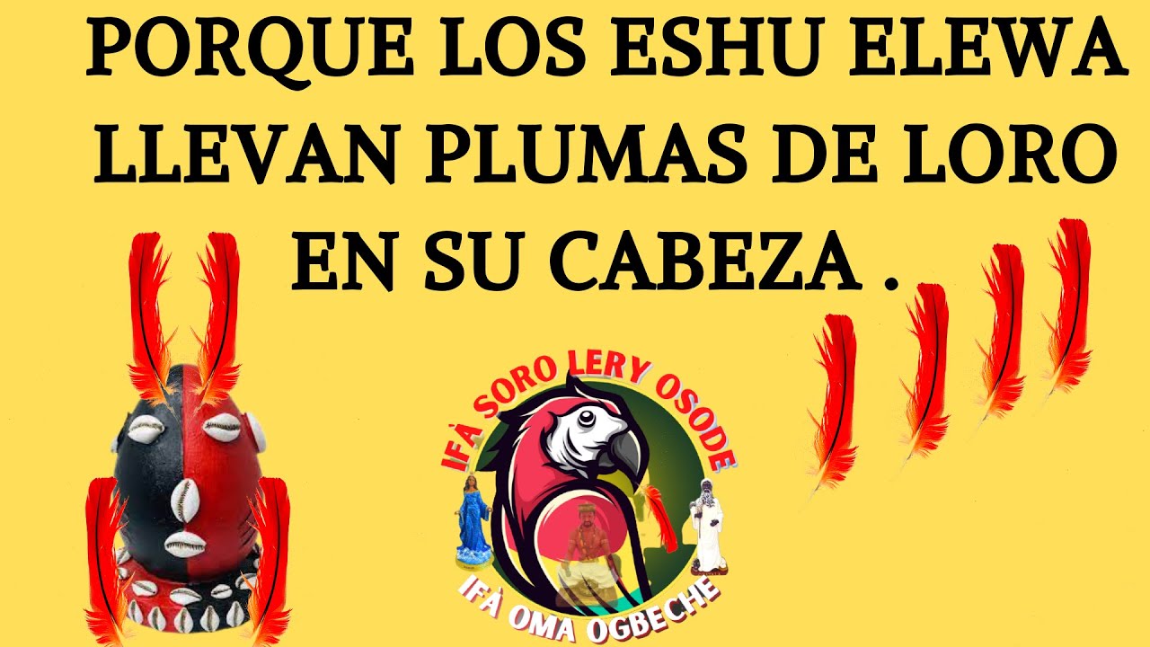 PORQUE LOS ESHU ELEWA LLEVAN PLUMAS DE LORO EN SU CABEZA .🔒🦜🦜🦜🦜