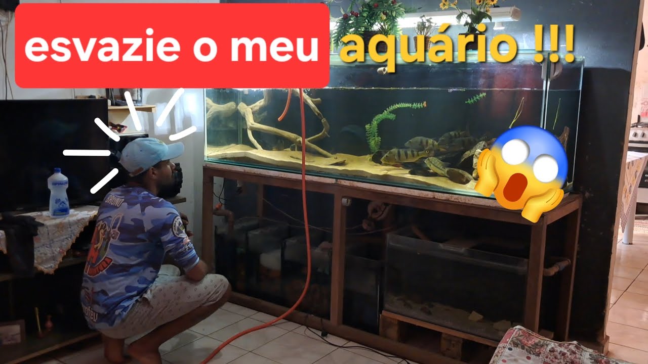Esvazie o meu aquário jumbo #aquarismo #fish #TPA