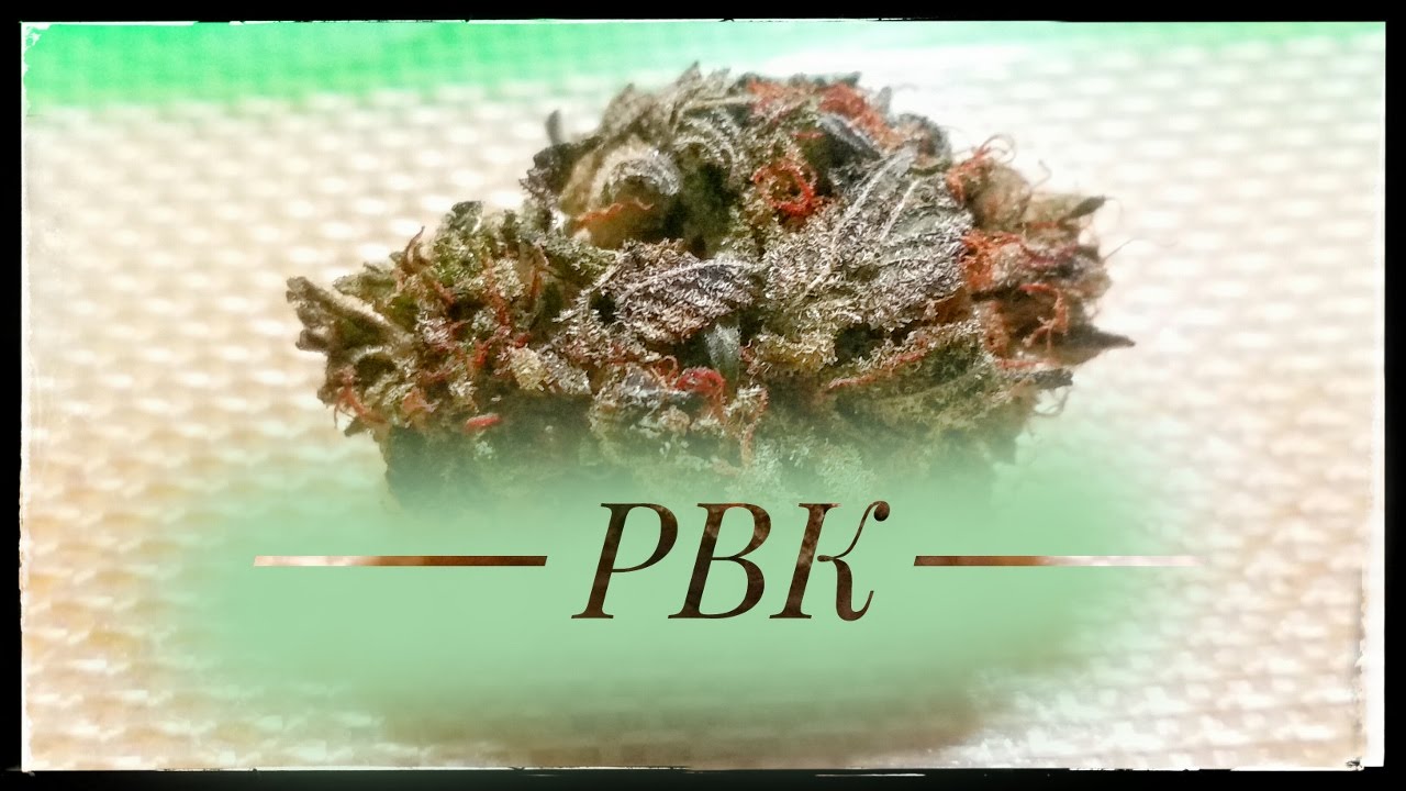 Strain Review - Pbk - Platinum Bubba Kush - MMJ Total Health Care