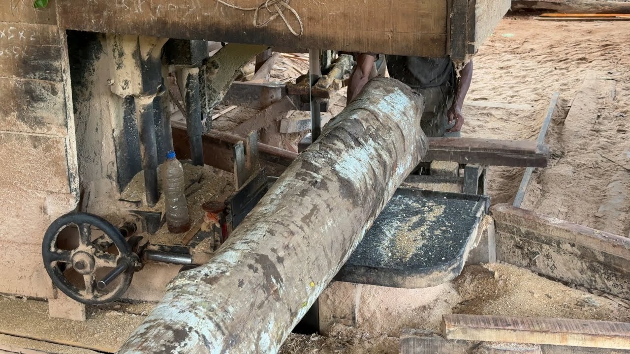 From Raw Wood to 2x20 Board Rapid Production Process