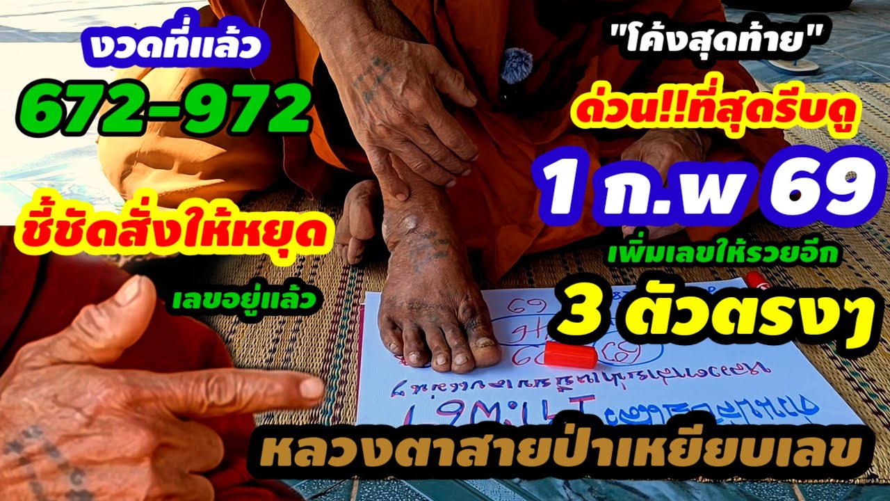 672#972 ด่วนดูก่อนอั้นโค้งสุดท้าย(1 ก.พ 69)#หลวงตาสายป่าเหยียบเลข เรียกพบเพิ่มเลขให้รวยอีก3ตัวตรงๆ