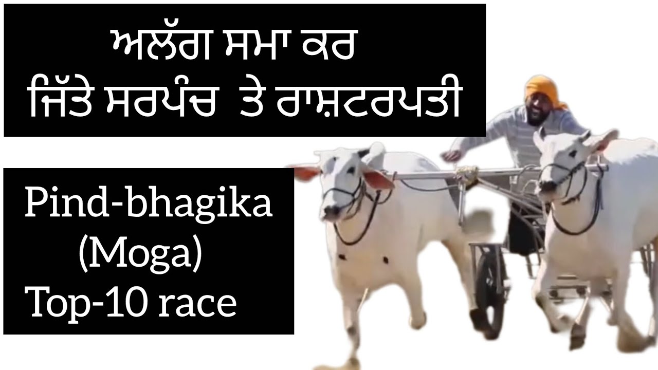Pind-bhagika (moga)  top 10 race #oxracepunjab #shonkpunjabde 