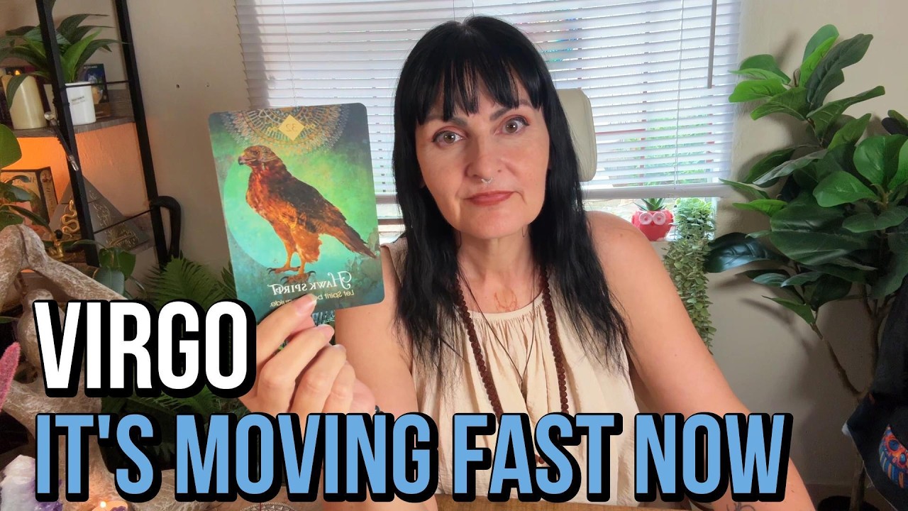 Virgo: A Message Is Coming In Fast. (The Hawk Has Arrived) - tarot reading