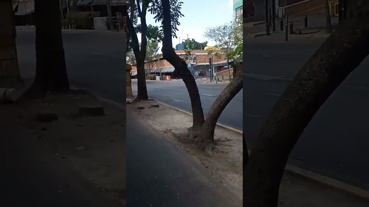 Caos en Guadalajara y todo Jalisco por parte guerra narcotráfico C-JNG