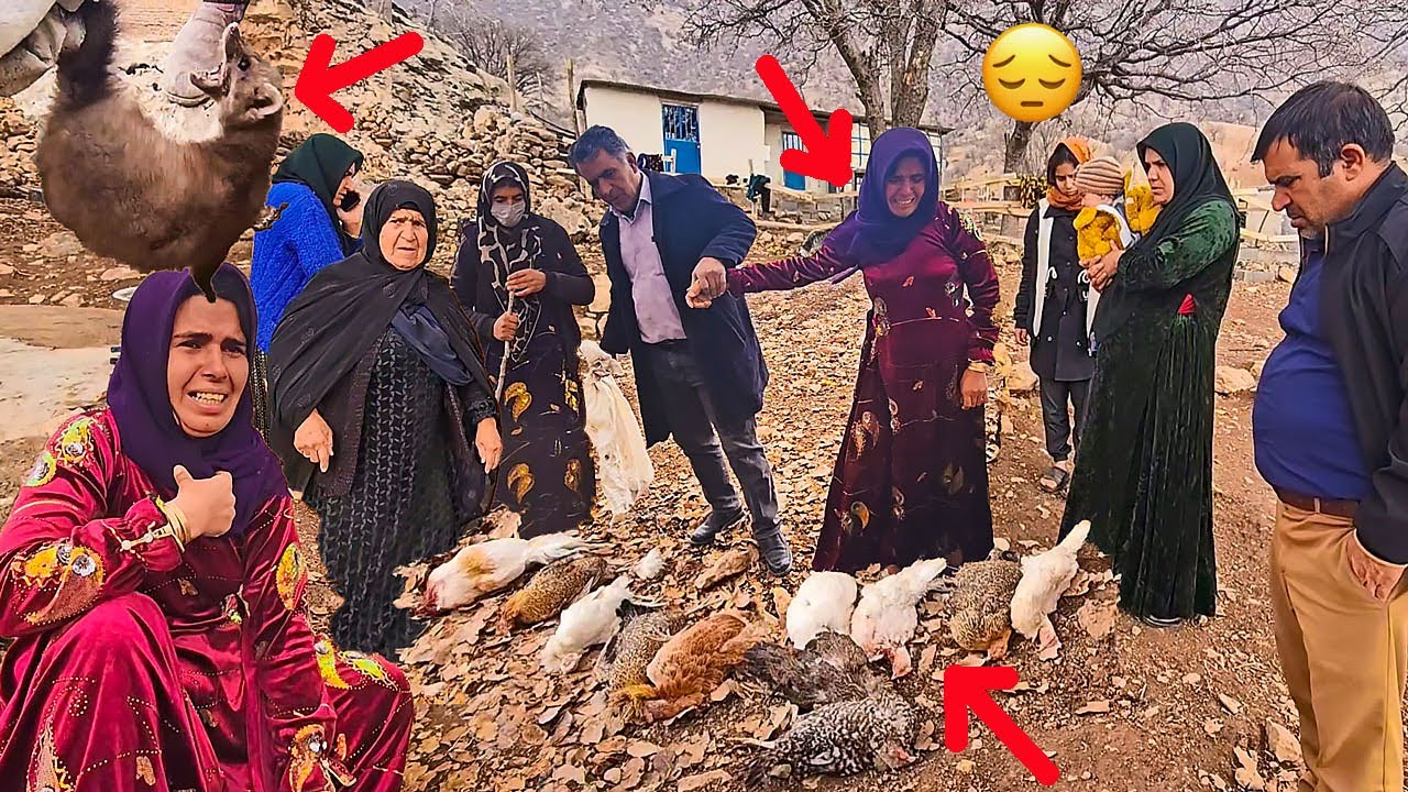 Death on Fariba's Farm: A Day Full of Sorrow