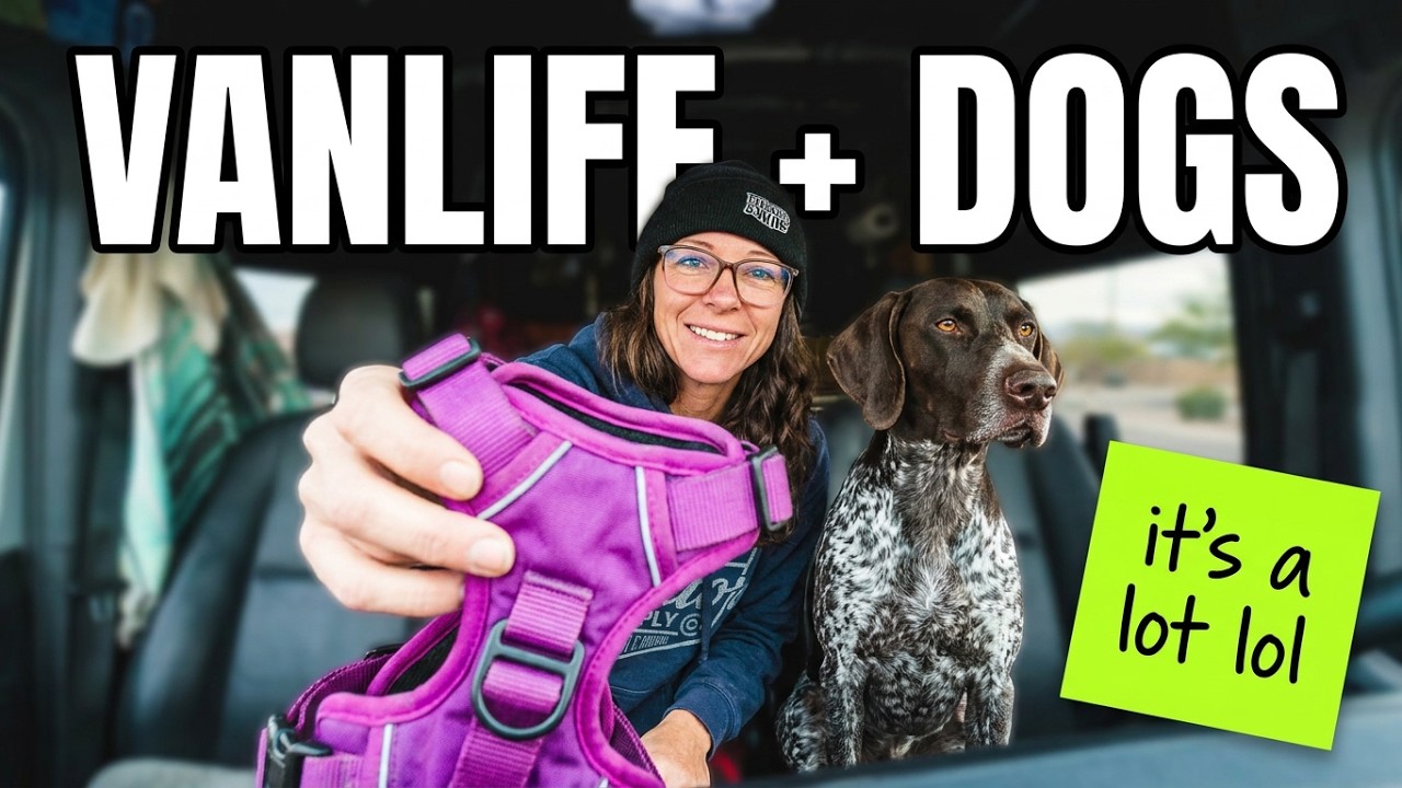 Full-Time Van Life with Dogs | Working and Traveling in Our Sprinter Camper Van