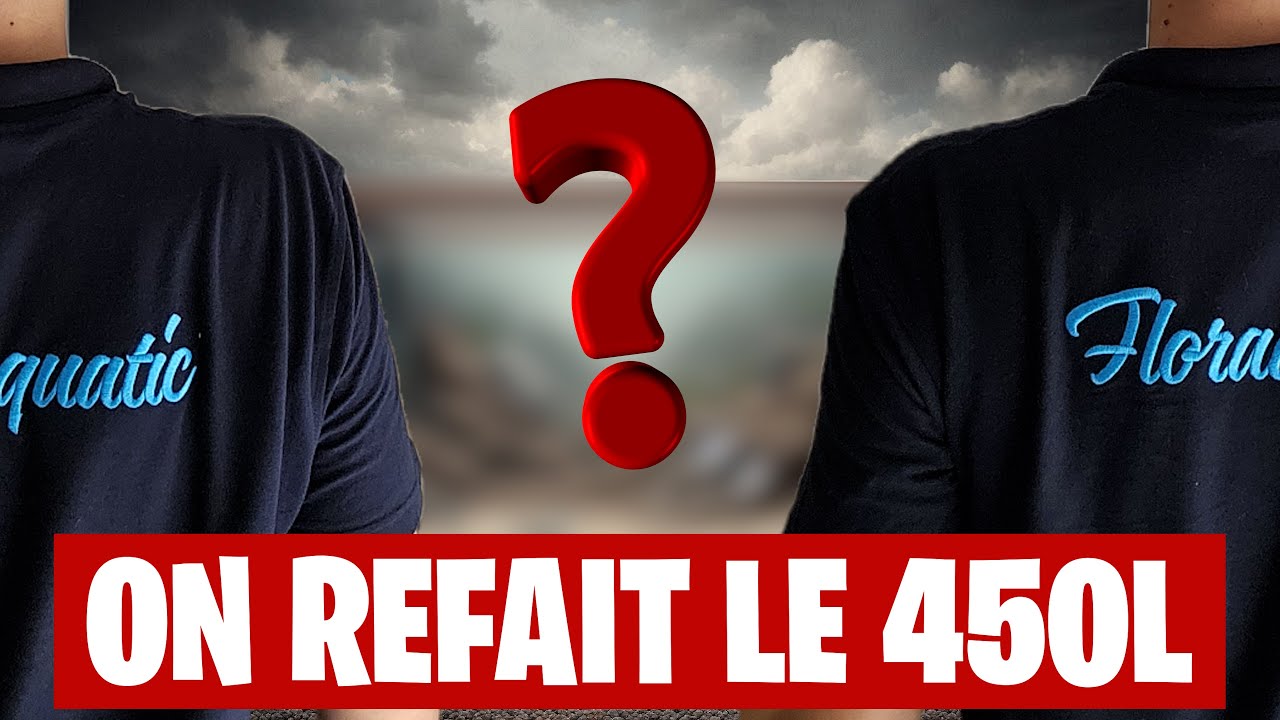 Créons Ensemble : Conseillez nous des Espèces pour un Aquarium de 450L !? 🐟 - Floraquatic