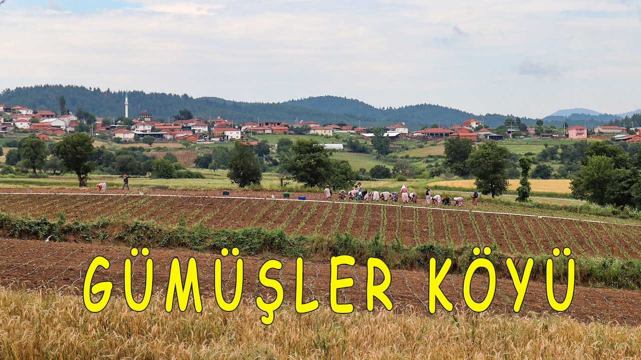 Yenice Gümüşler Köyü (Köylüler sorunlarını anlattı)