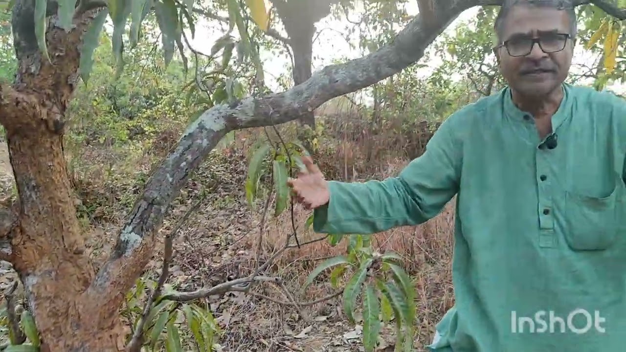 शेतकऱ्यांनो फक्त तीन लिटर पाणी वापरुन आपल्या फळबागा वाचवा . मनोहर खके.