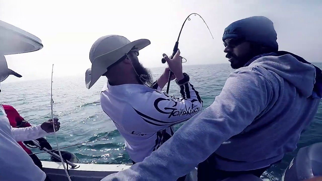 Boat Fishing in Qatar - King Mackerel , Catfish and Shark Hunting
