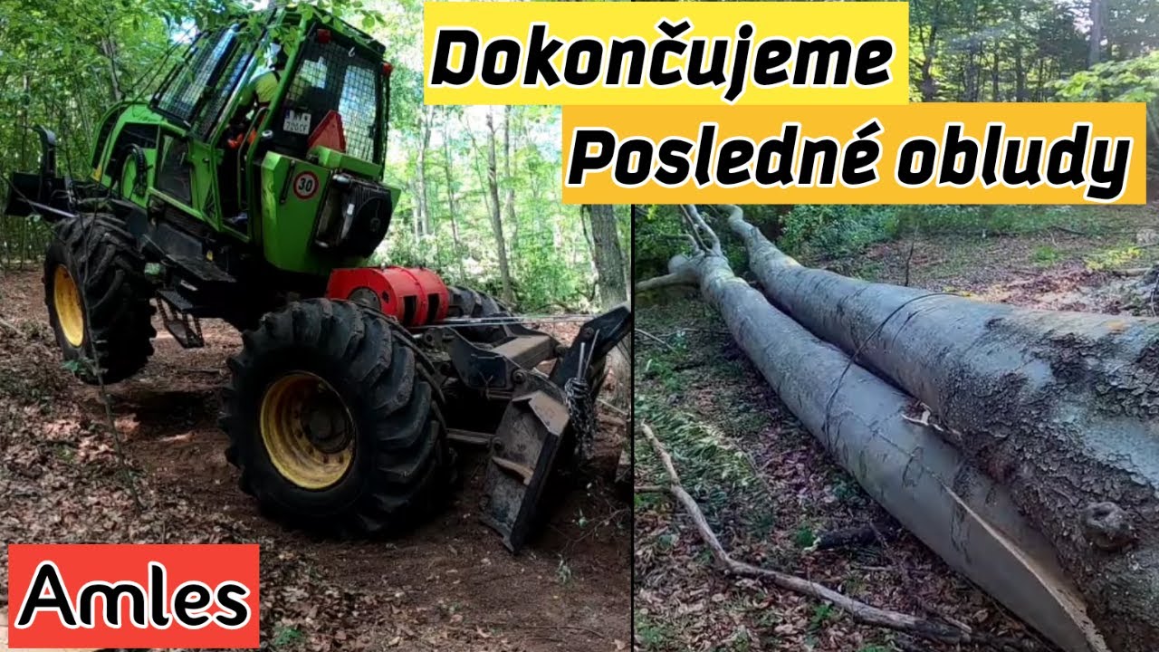 Posledné hrubé kúsky z porastu a začíname ťažiť hraby, Stihl ms 500i, Skidder Orvex, Logging, Amles