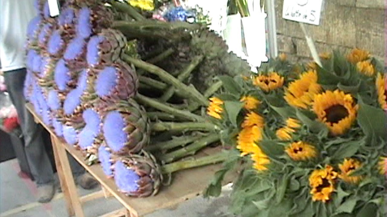 France 44: Arles: Saturday morning open market    SD 480p