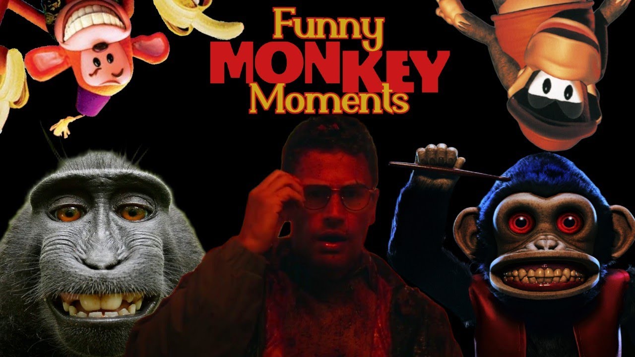 Funny Monkey Movie