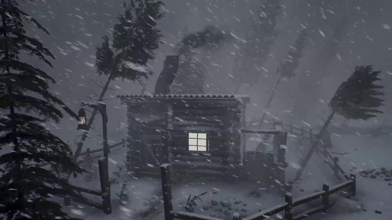 RELENTLESS WINTER STORM: SNOWSTORM SOUNDS and SNOW AMBIENCE for Deep Sleep | Endless Polar Hush