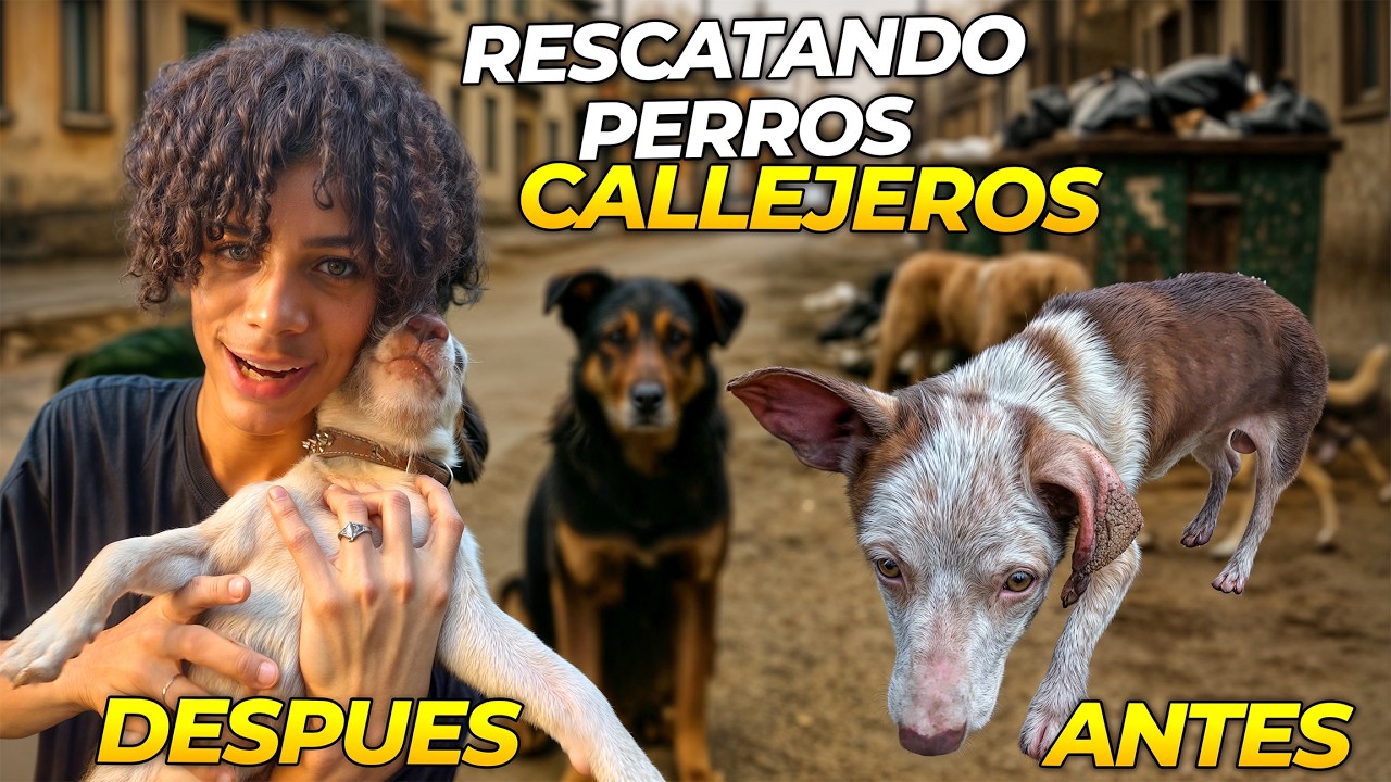 Rescatando Perros Callejeros