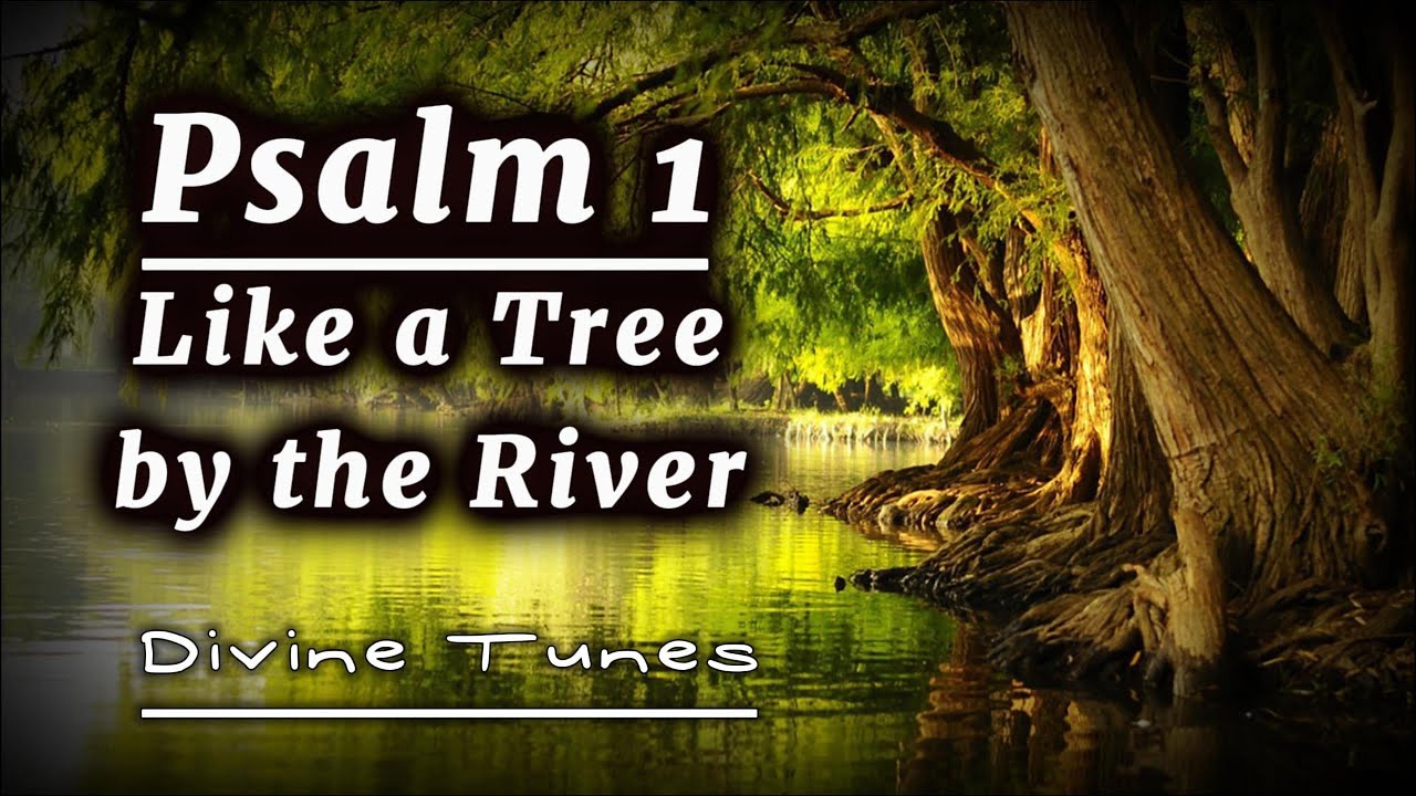 Psalm 1   Like a Tree by the River | Uplifting song Inspired by Psalm 1