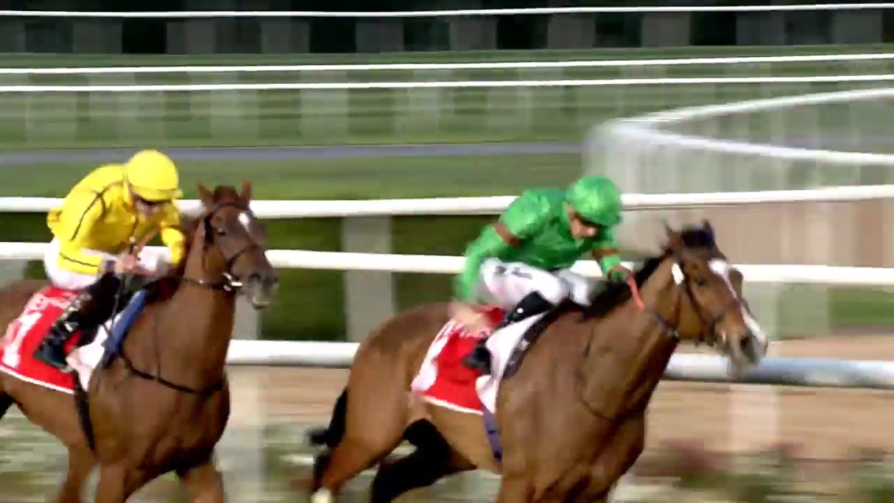 Super Saturday Meydan Racecourse 05-03-16, Race 5 Group 2 Dubai City of Gold - Emirates SkyCargo