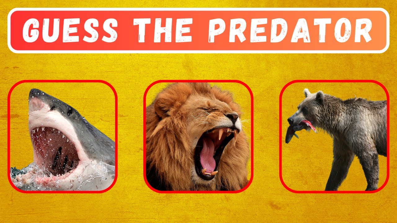 Guess the APEX PREDATORS | 15 Predators | Questions and Answers Trivia Quiz Game